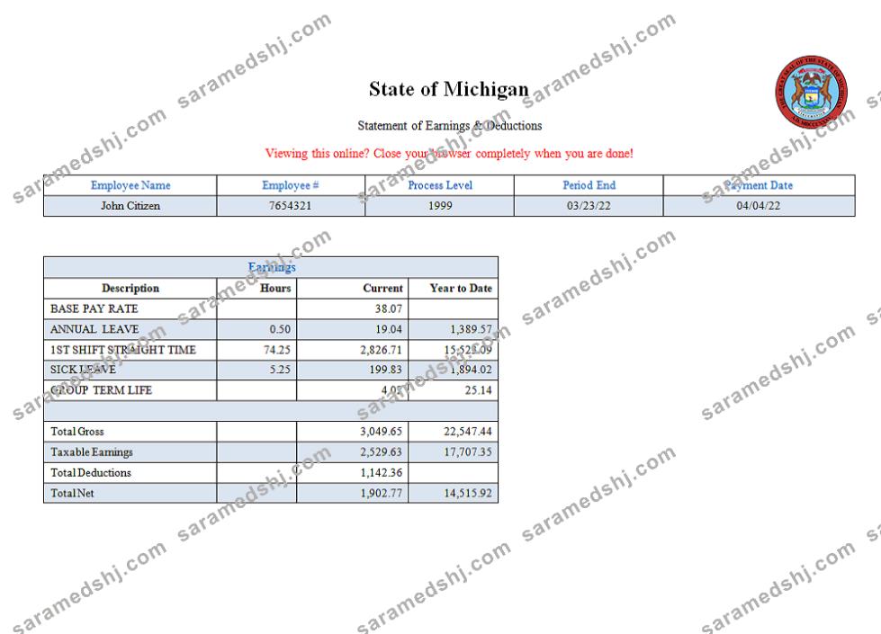 USA State of Michigan social services company pay stub